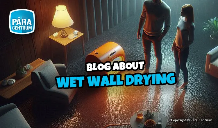 How to dry wet walls? | BLOG
